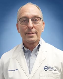 Profile photo of Dr. David Schnitzer